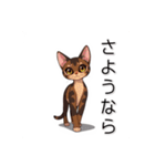 ペットの可愛いオリエンタルショートヘア（個別スタンプ：40）