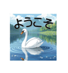 美しい湖の白鳥（個別スタンプ：14）
