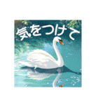 美しい湖の白鳥（個別スタンプ：15）