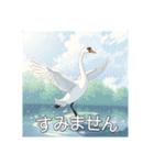 美しい湖の白鳥（個別スタンプ：21）