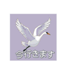 美しい湖の白鳥（個別スタンプ：24）