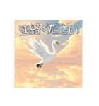 美しい湖の白鳥（個別スタンプ：28）