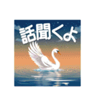 美しい湖の白鳥（個別スタンプ：35）