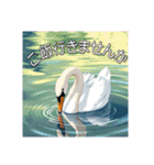 美しい湖の白鳥（個別スタンプ：37）