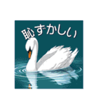 美しい湖の白鳥（個別スタンプ：38）