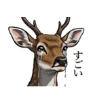 カオスな鹿スタンプ2（個別スタンプ：4）