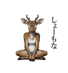 カオスな鹿スタンプ2（個別スタンプ：9）