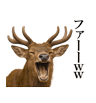 カオスな鹿スタンプ2（個別スタンプ：16）