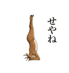 カオスな鹿スタンプ2（個別スタンプ：20）