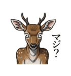 カオスな鹿スタンプ2（個別スタンプ：22）