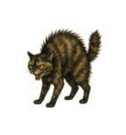 サビ柄のねこちゃん（個別スタンプ：1）