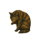 サビ柄のねこちゃん（個別スタンプ：2）