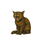 サビ柄のねこちゃん（個別スタンプ：3）