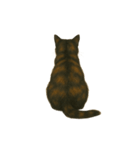 サビ柄のねこちゃん（個別スタンプ：6）