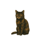 サビ柄のねこちゃん（個別スタンプ：8）