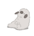 うさは撮られたい（個別スタンプ：1）