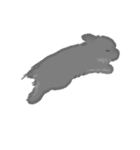 うさは撮られたい（個別スタンプ：11）