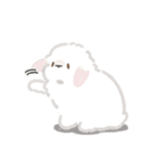 うさは撮られたい（個別スタンプ：13）
