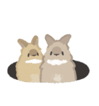 うさは撮られたい（個別スタンプ：21）