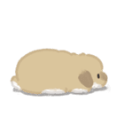 うさは撮られたい（個別スタンプ：29）