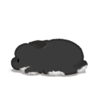 うさは撮られたい（個別スタンプ：30）