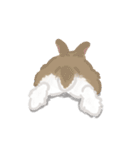 うさは撮られたい（個別スタンプ：32）