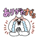 せるこのポジティブほめスタンプ（個別スタンプ：17）