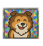 ホロきらコリーのふさふさ日和@SFW（個別スタンプ：1）