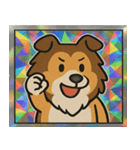 ホロきらコリーのふさふさ日和@SFW（個別スタンプ：4）