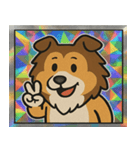 ホロきらコリーのふさふさ日和@SFW（個別スタンプ：5）