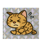 ホロきらベンガルのヒョウ柄速報@SFW（個別スタンプ：14）
