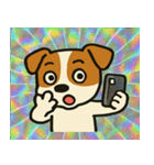 ホロきらジャックのぴょんぴょこ速報@SFW（個別スタンプ：8）