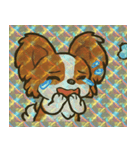 ホロきらパピヨンのふさふさ劇場@SFW（個別スタンプ：1）