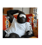 それゆけおとんゴリラ 2（個別スタンプ：1）