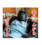 それゆけおとんゴリラ 2（個別スタンプ：4）