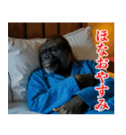 それゆけおとんゴリラ 2（個別スタンプ：7）