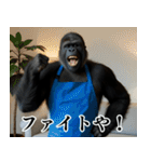 それゆけおとんゴリラ 2（個別スタンプ：8）