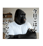 それゆけおとんゴリラ 2（個別スタンプ：13）