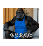 それゆけおとんゴリラ 2（個別スタンプ：34）