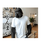 それゆけおとんゴリラ 2（個別スタンプ：39）