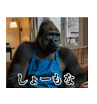 それゆけおとんゴリラ 2（個別スタンプ：40）