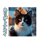 飛び出す★冬を感じるハチワレ_挨拶（個別スタンプ：3）