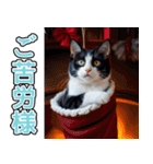 飛び出す★冬を感じるハチワレ_挨拶（個別スタンプ：7）