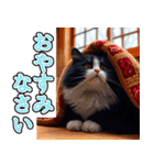 飛び出す★冬を感じるハチワレ_挨拶（個別スタンプ：8）