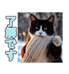 飛び出す★冬を感じるハチワレ_挨拶（個別スタンプ：9）