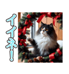 飛び出す★冬を感じるハチワレ_挨拶（個別スタンプ：12）