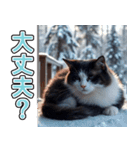 飛び出す★冬を感じるハチワレ_挨拶（個別スタンプ：15）