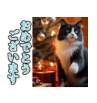 飛び出す★冬を感じるハチワレ_挨拶（個別スタンプ：16）