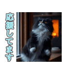 飛び出す★冬を感じるハチワレ_挨拶（個別スタンプ：17）