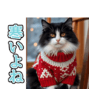 飛び出す★冬を感じるハチワレ_挨拶（個別スタンプ：22）